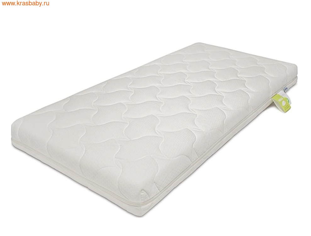   PLITEX EVOLUTION   1196010  (,  2)