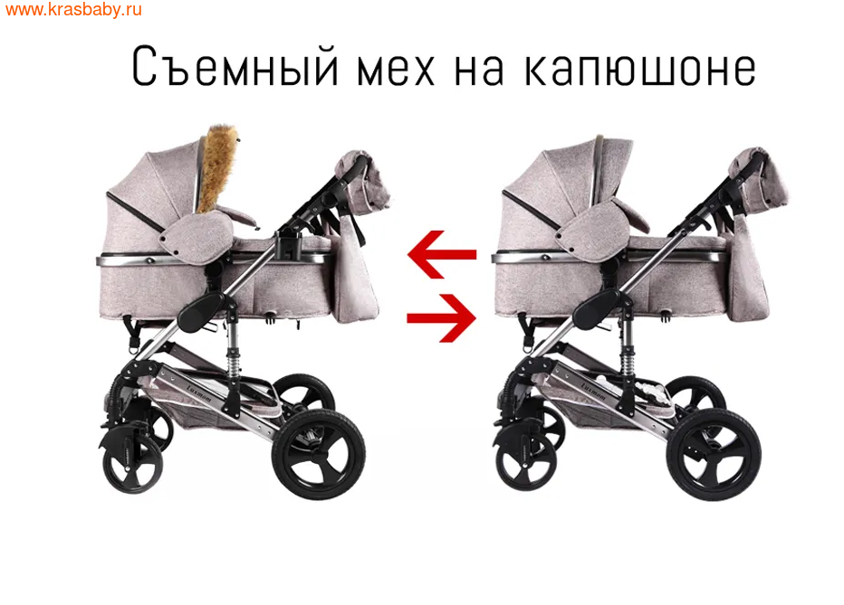 - Luxmom 555 3  1 (,  11)