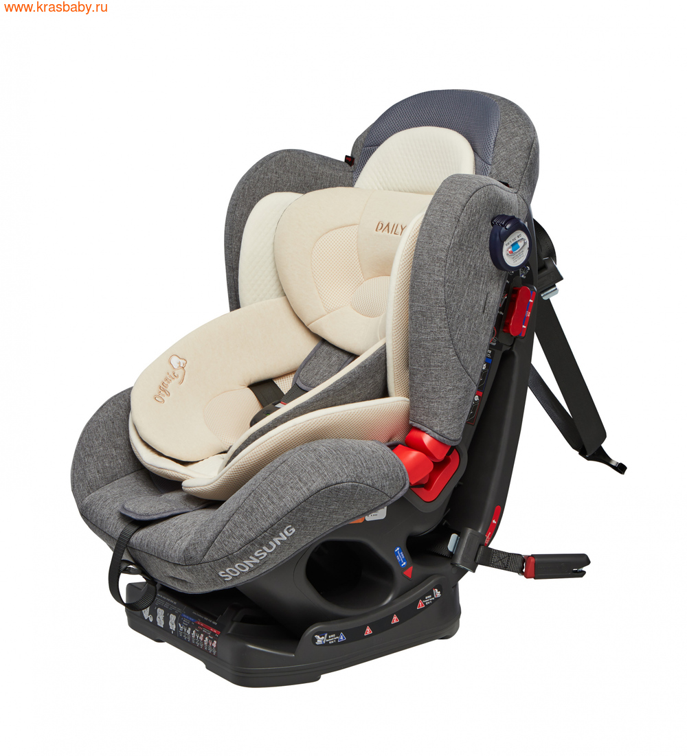  DUCLE DAILY ISOFIX (0-25 ) (,  6)