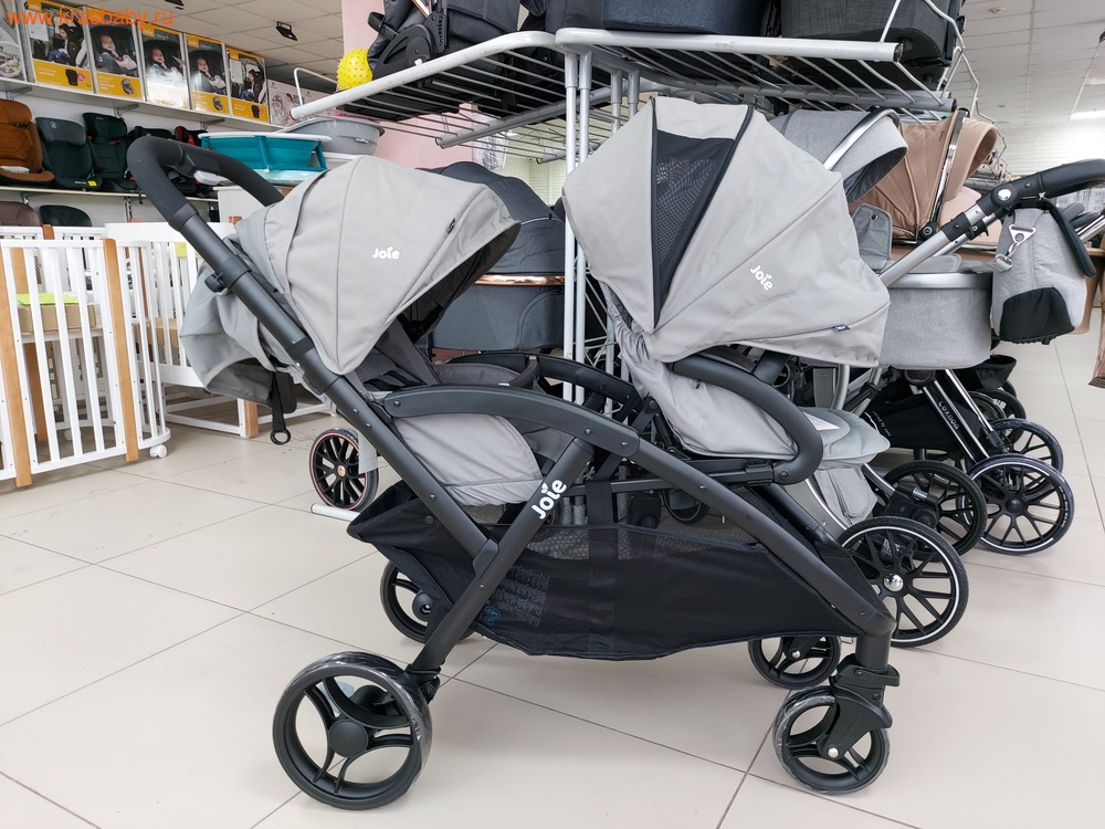    JOIE EVALITE DUO (,  5)