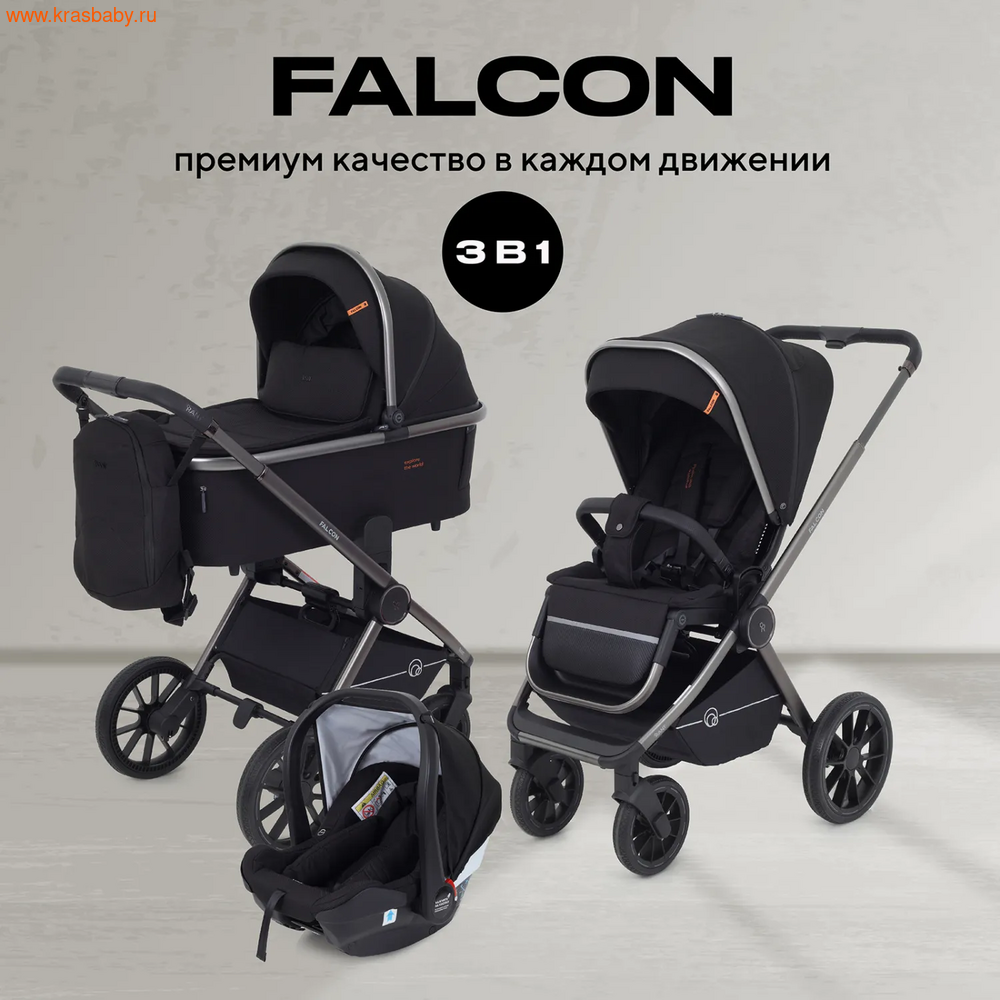   RANT FALCON ( 2  1 ) (,  3)