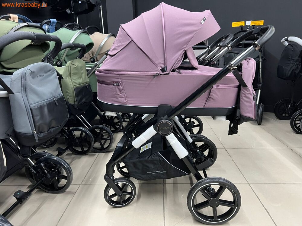   Luxmom 812 THERMO (3  1) (,  1)