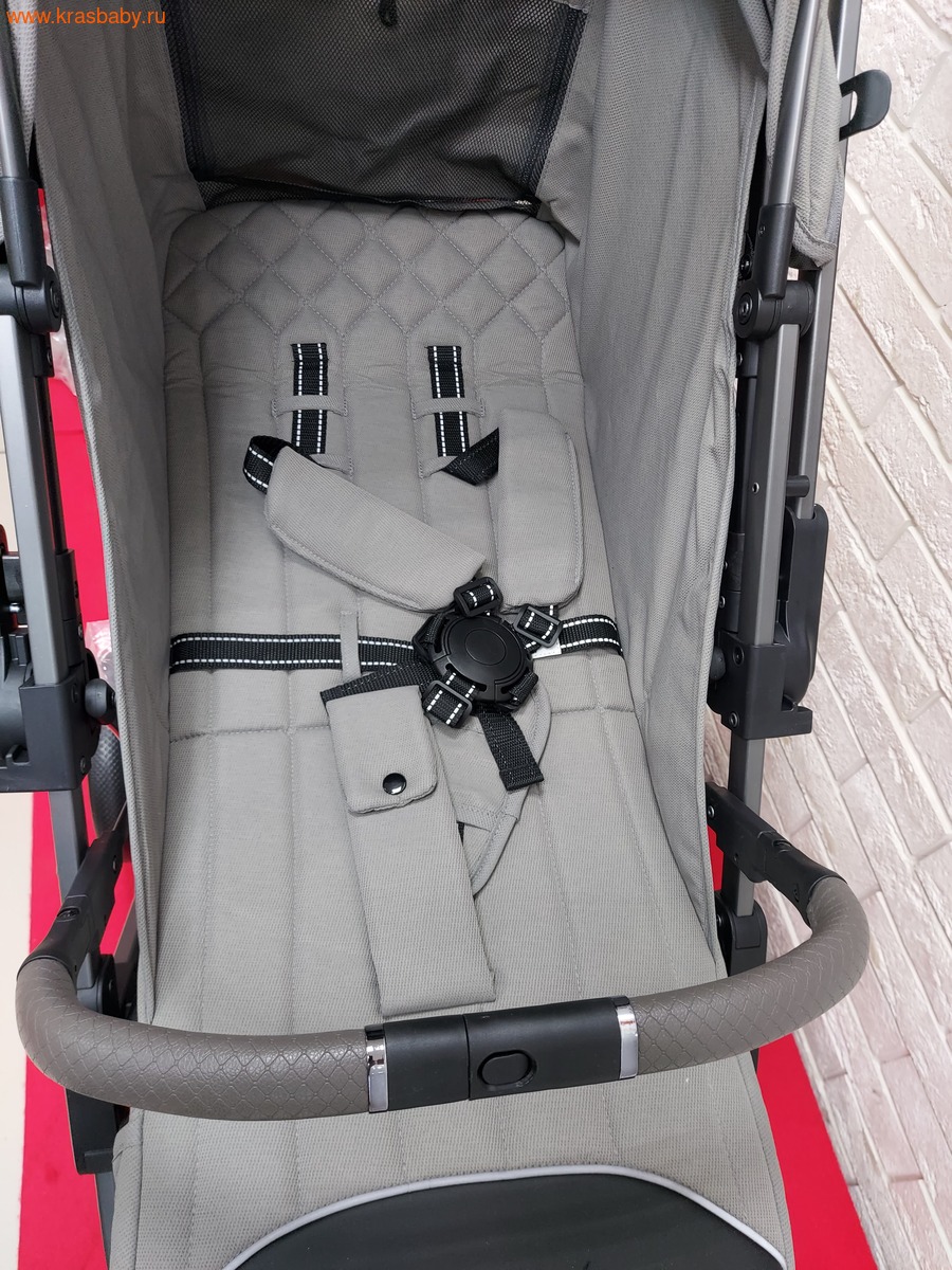   Luxmom A81 -  (,  11)