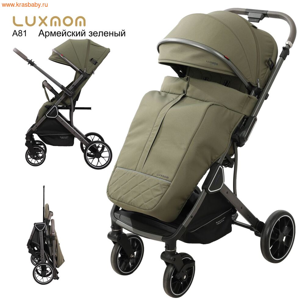   Luxmom A81 -  (,  13)