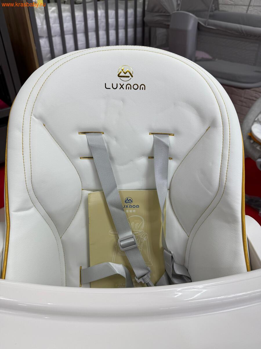    Luxmom H580 (,  10)