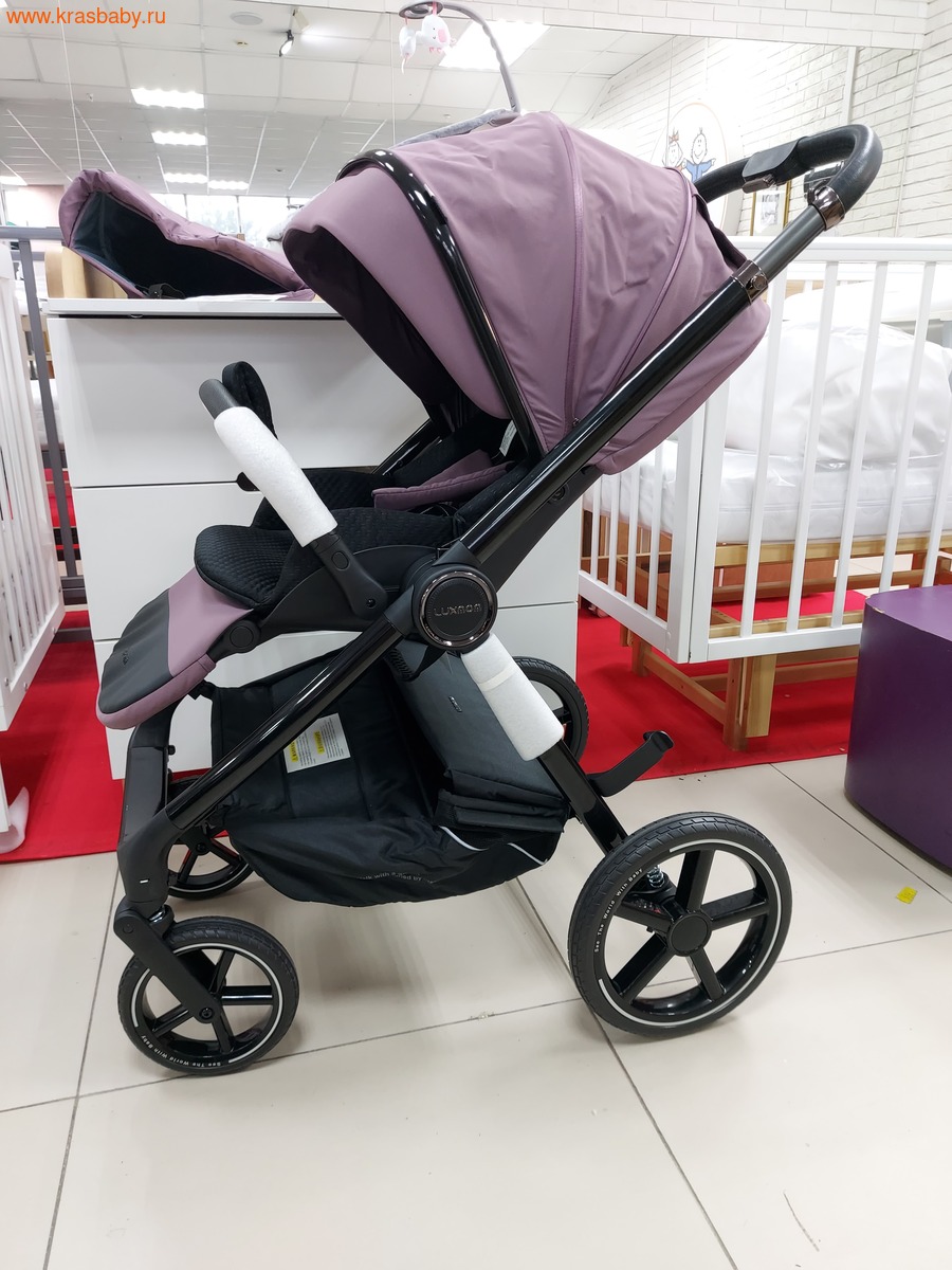   Luxmom 812 THERMO (3  1) (,  10)