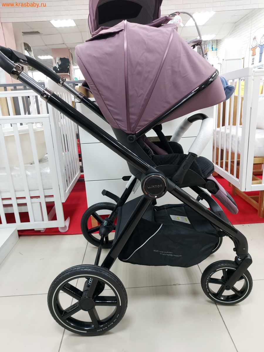   Luxmom 812 THERMO (3  1) (,  11)