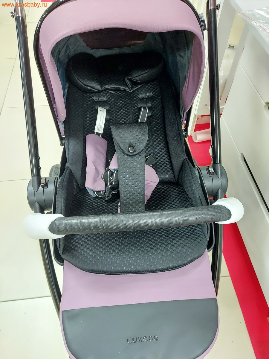   Luxmom 812 THERMO (3  1) (,  12)