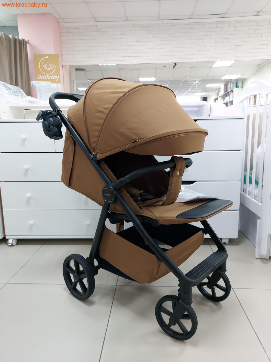   CARRELLO BRAVO CARBON (,  22)