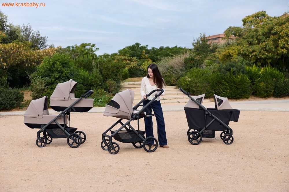Коляска для двойни ANEX MODU 2 в 1 (вид 12) Коляска для двойни ANEX MODU 2 в 1 (фото, вид 12)