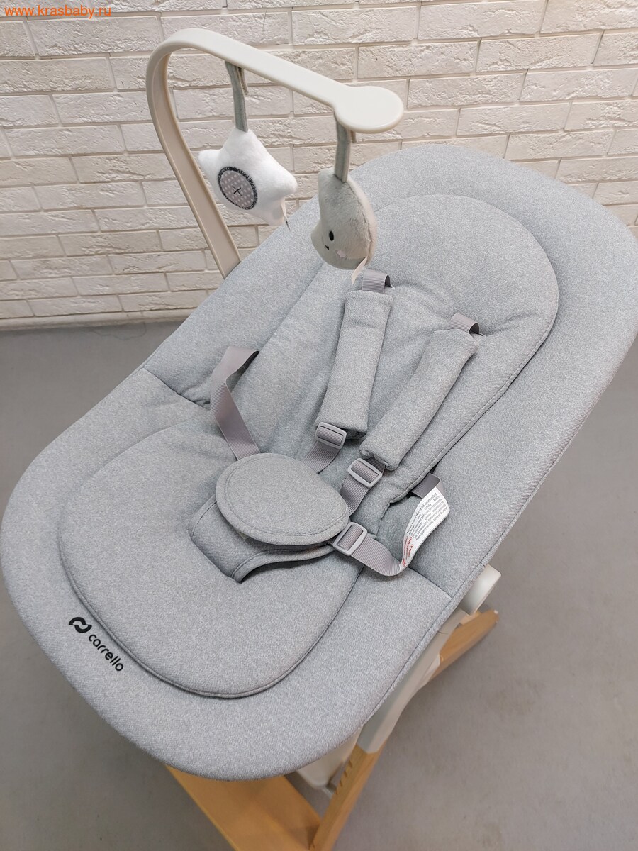 �������� ��� ��������� CARRELLO ERGO (����, ��� 13)