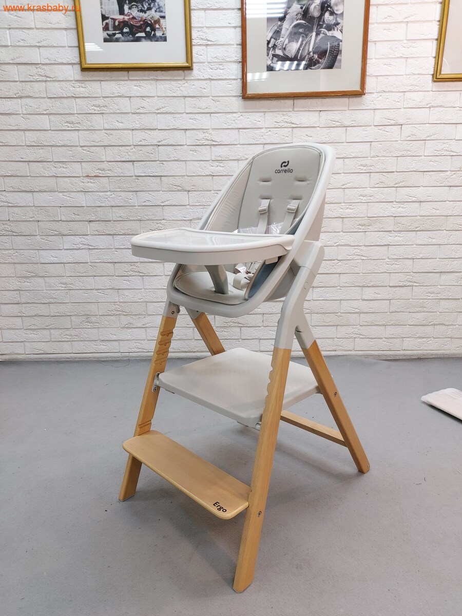 �������� ��� ��������� CARRELLO ERGO (����, ��� 21)