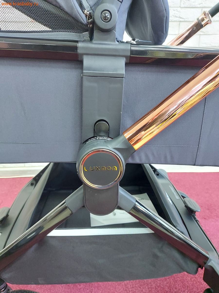 Коляска модульная B1 ( 3 в 1) (вид 5) Коляска модульная B1 ( 3 в 1) (фото, вид 5)