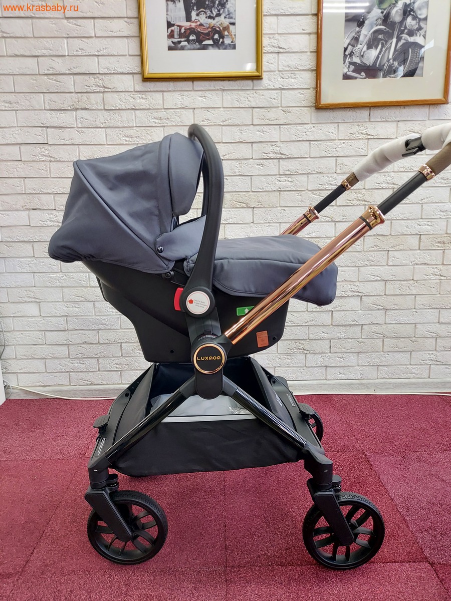 Коляска модульная B1 ( 3 в 1) (вид 9) Коляска модульная B1 ( 3 в 1) (фото, вид 9)