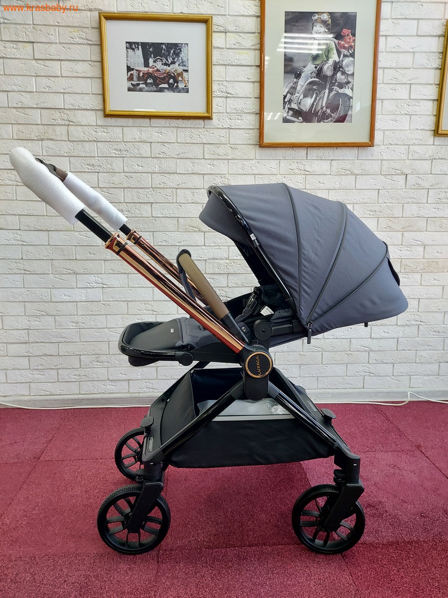 Коляска модульная B1 ( 3 в 1) (вид 11) Коляска модульная B1 ( 3 в 1) (фото, вид 11)