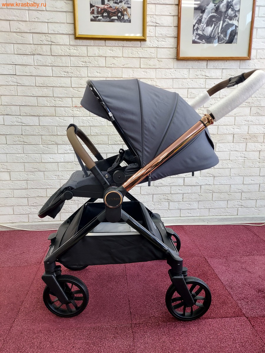 Коляска модульная B1 ( 3 в 1) (вид 14) Коляска модульная B1 ( 3 в 1) (фото, вид 14)