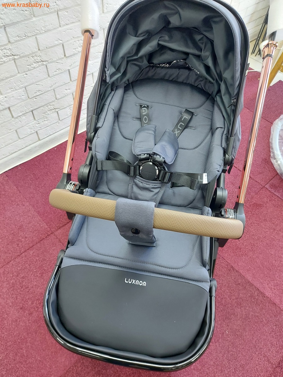 Коляска модульная B1 ( 3 в 1) (вид 15) Коляска модульная B1 ( 3 в 1) (фото, вид 15)