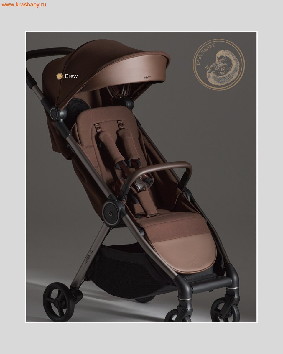 ������� ��������� ANEX IQ PREMIUM NT 2 � 1 (����, ��� 18)