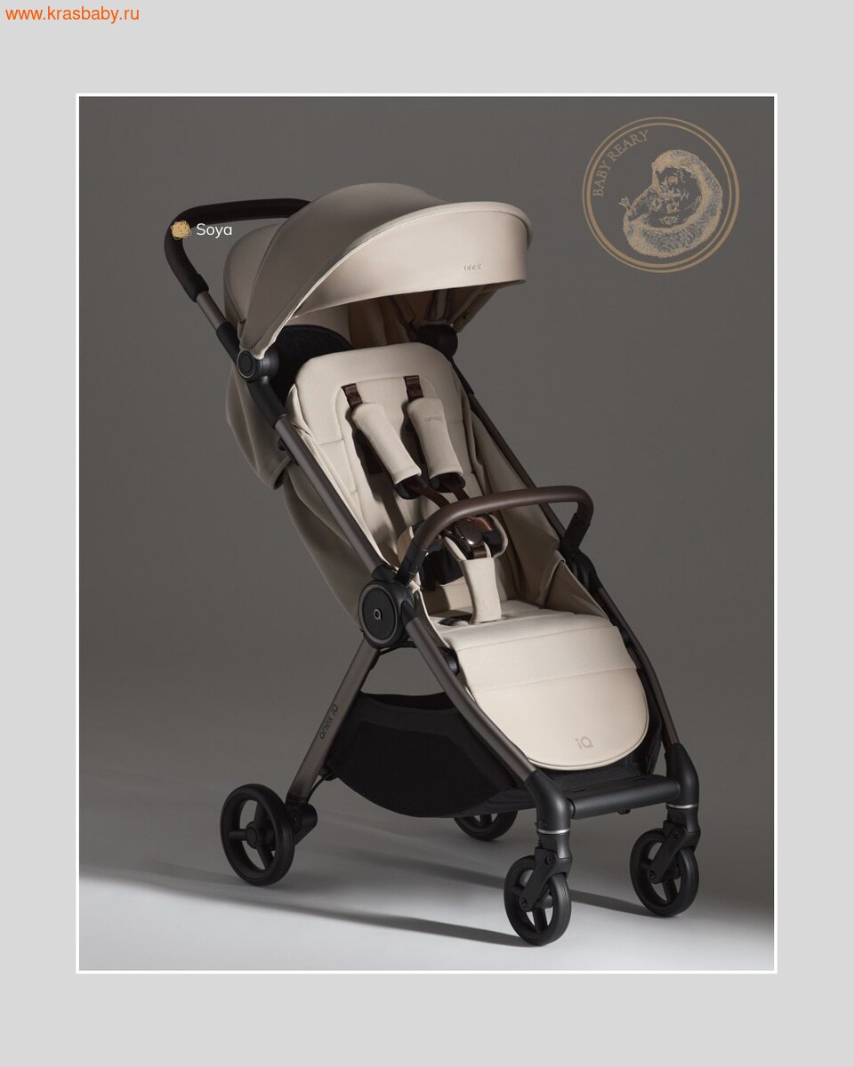 ������� ��������� ANEX IQ PREMIUM NT 2 � 1 (����, ��� 19)