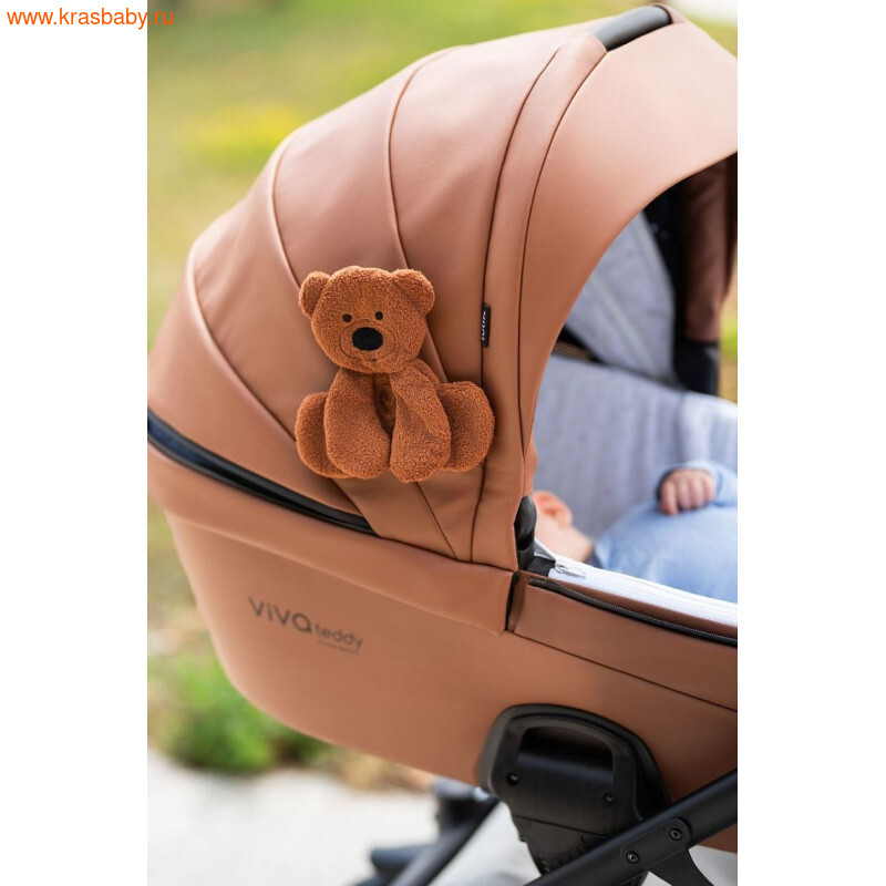 ������� ��������� TUTIS VIVA 6+ TEDDY (����, ��� 2)