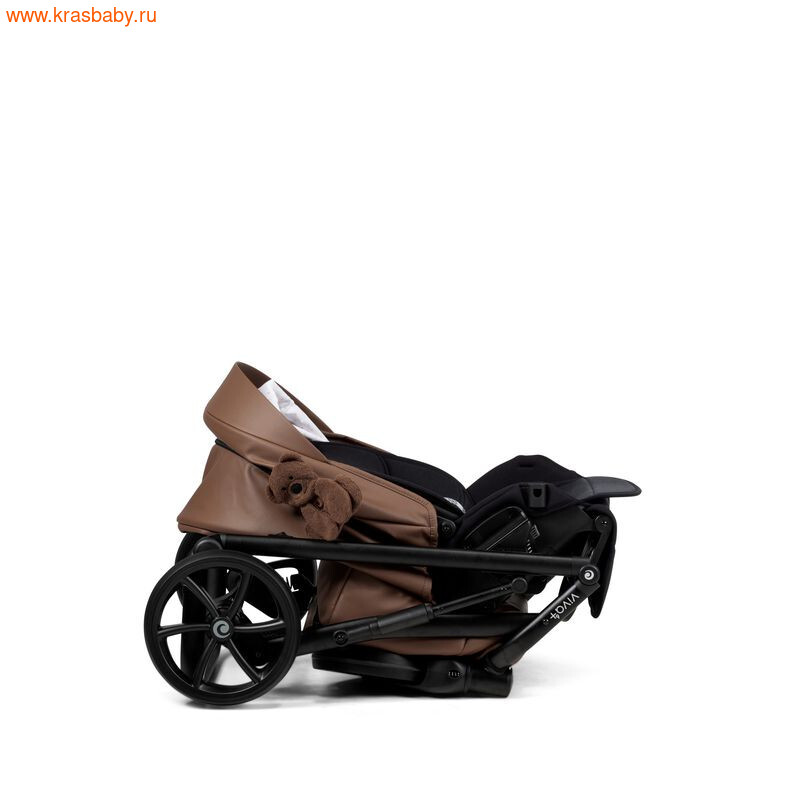 ������� ��������� TUTIS VIVA 6+ TEDDY (����, ��� 10)