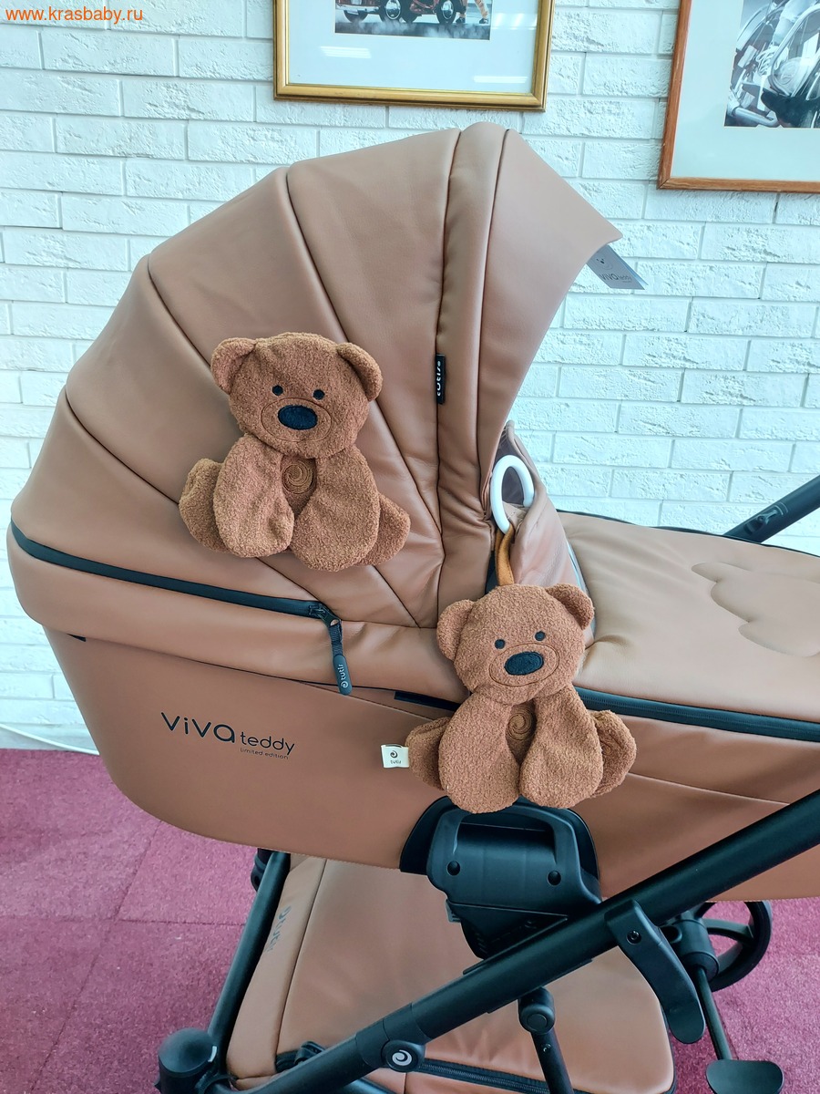 ������� ��������� TUTIS VIVA 6+ TEDDY (����, ��� 25)