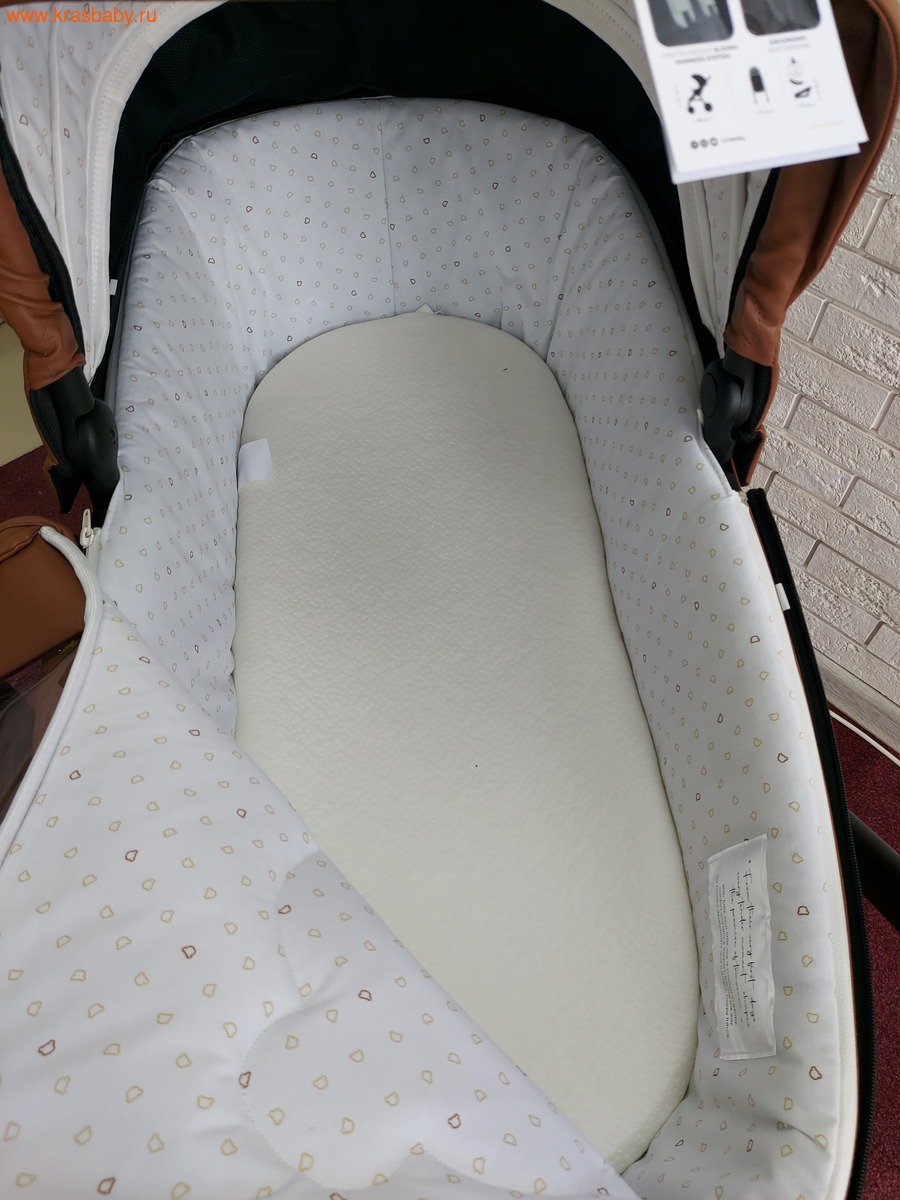 ������� ��������� TUTIS VIVA 6+ TEDDY (����, ��� 30)