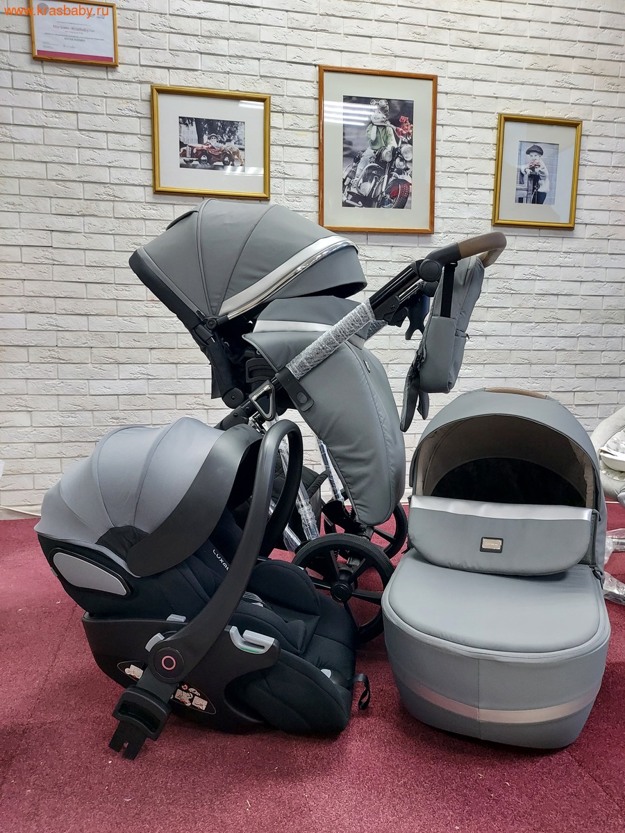 Коляска модульная F11 3 в 1 (автолюлька - раскладушка) (вид 25) Коляска модульная F11 3 в 1 (автолюлька - раскладушка) (фото, вид 25)