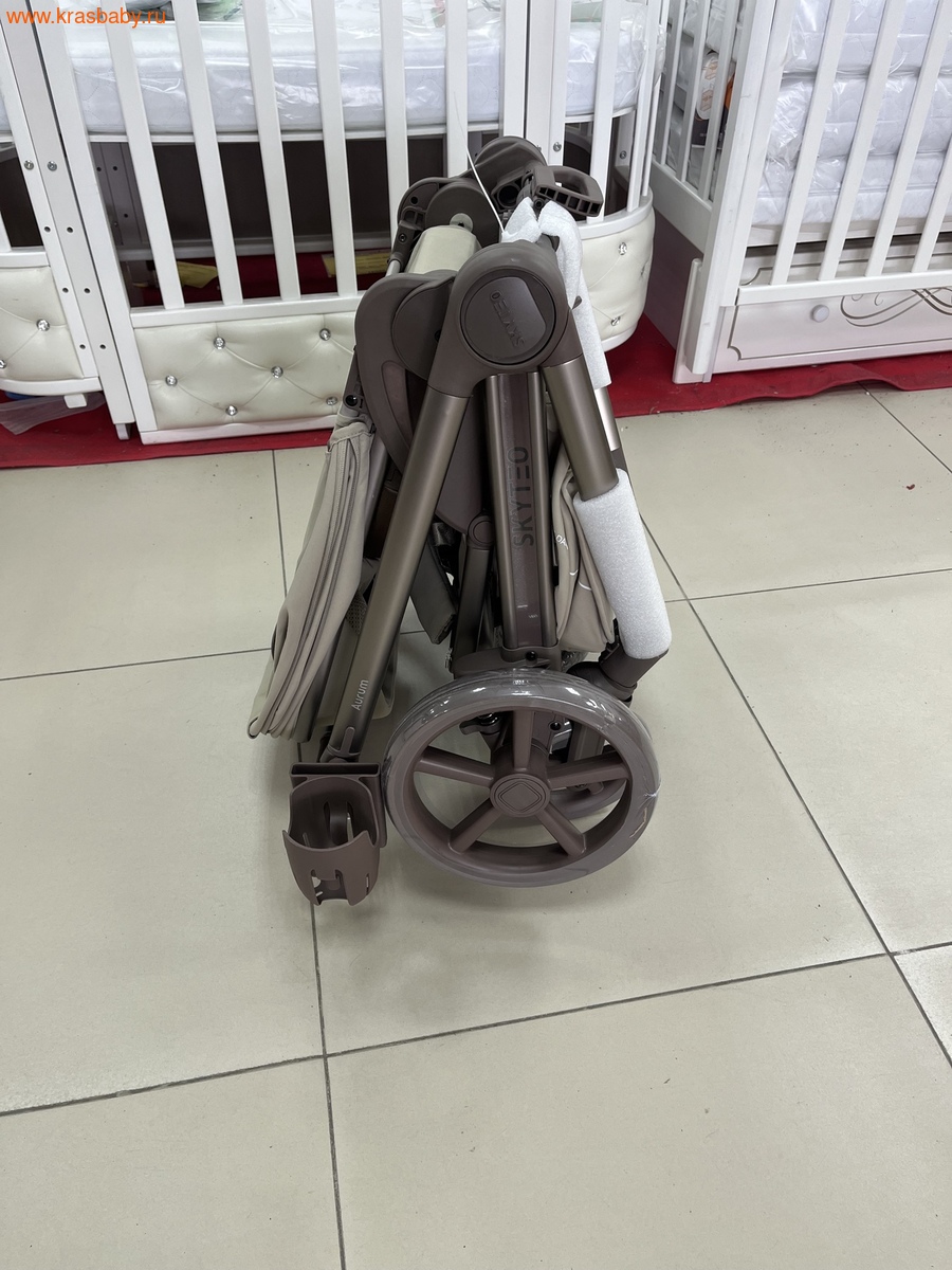 ������� ��������� SKYTEO AURUM 766 3 � 1 ( ���������� ����������) (����, ��� 1)