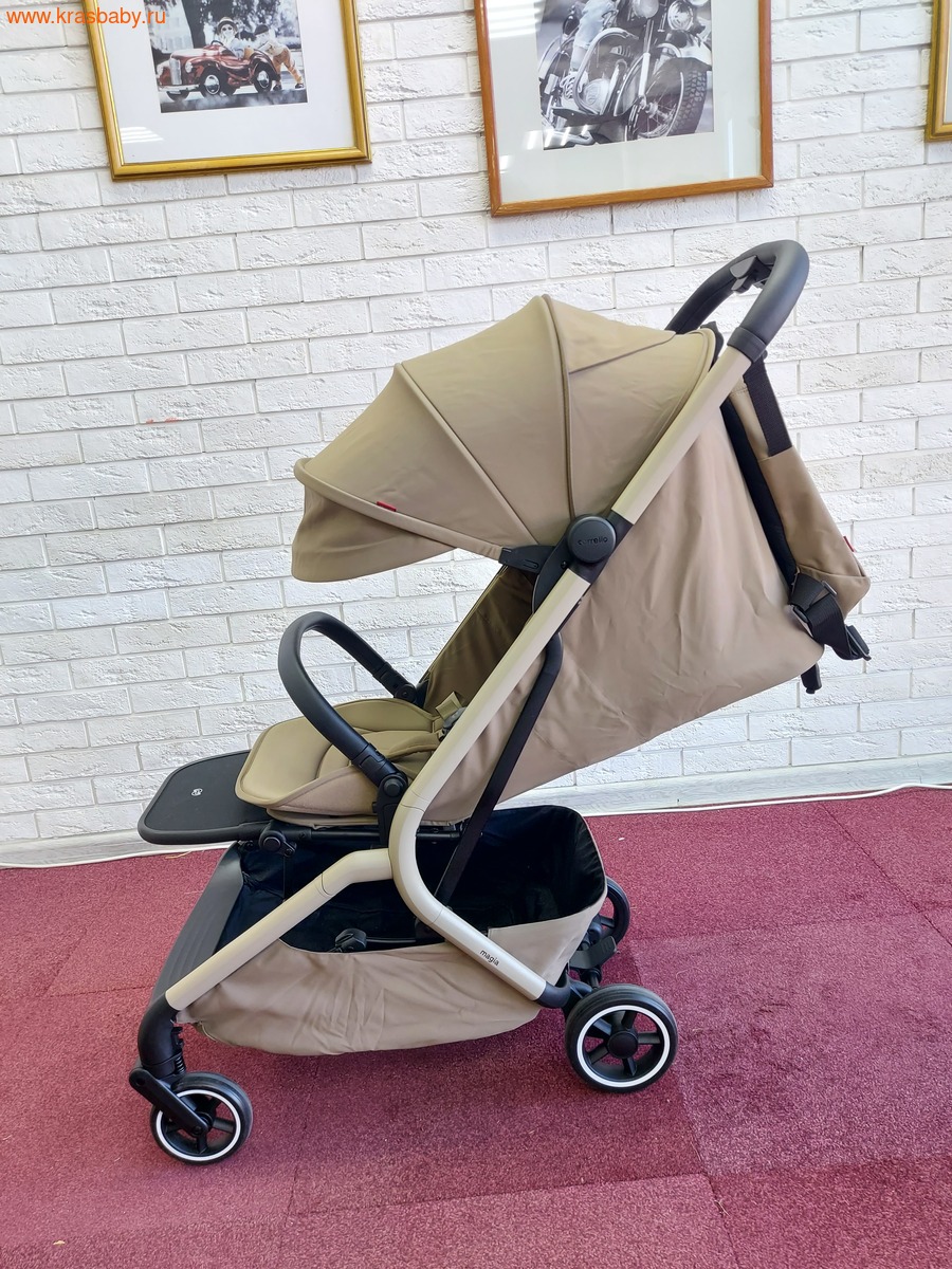 ������� ��������� CARRELLO MAGIA 2 � 1 (����, ��� 3)