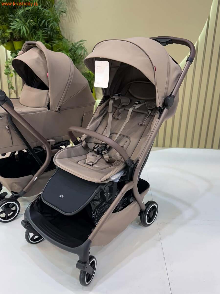 ������� ��������� CARRELLO MAGIA 2 � 1 (����, ��� 11)