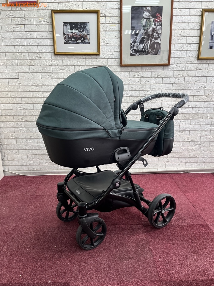 ������� ��������� TUTIS VIVA 5+ ESSENTAL 2 � 1 (����, ��� 2)