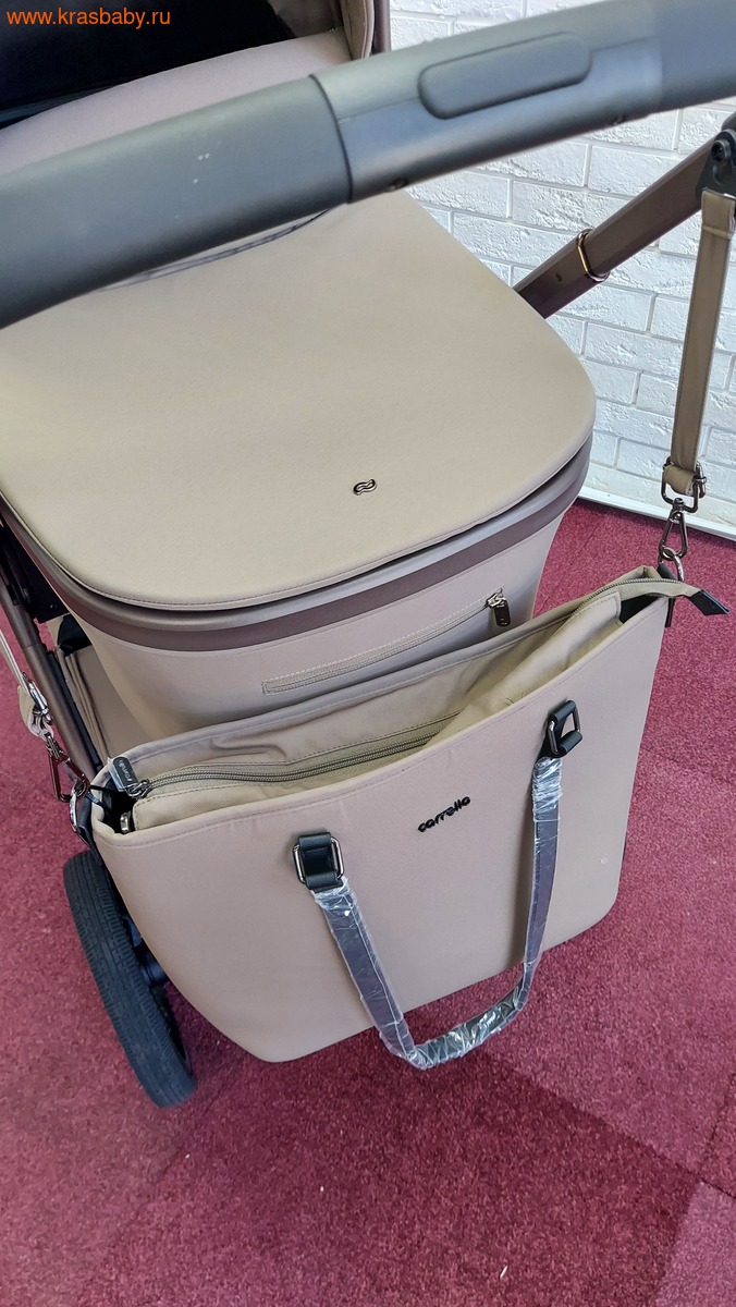 Коляска модульная CARRELLO VECTOR F ( складная люлька) (вид 9) Коляска модульная CARRELLO VECTOR F ( складная люлька) (фото, вид 9)