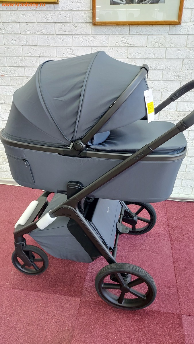 Коляска модульная CARRELLO VECTOR F ( складная люлька) (вид 13) Коляска модульная CARRELLO VECTOR F ( складная люлька) (фото, вид 13)