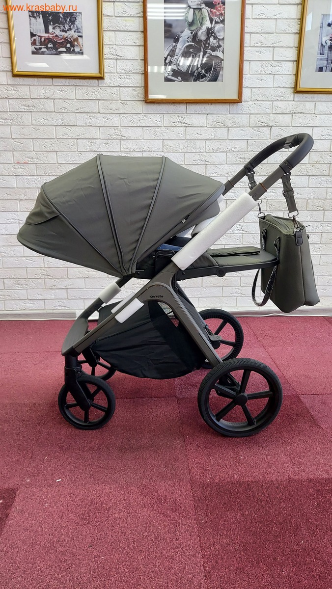 Коляска модульная CARRELLO VECTOR F ( складная люлька) (вид 20) Коляска модульная CARRELLO VECTOR F ( складная люлька) (фото, вид 20)