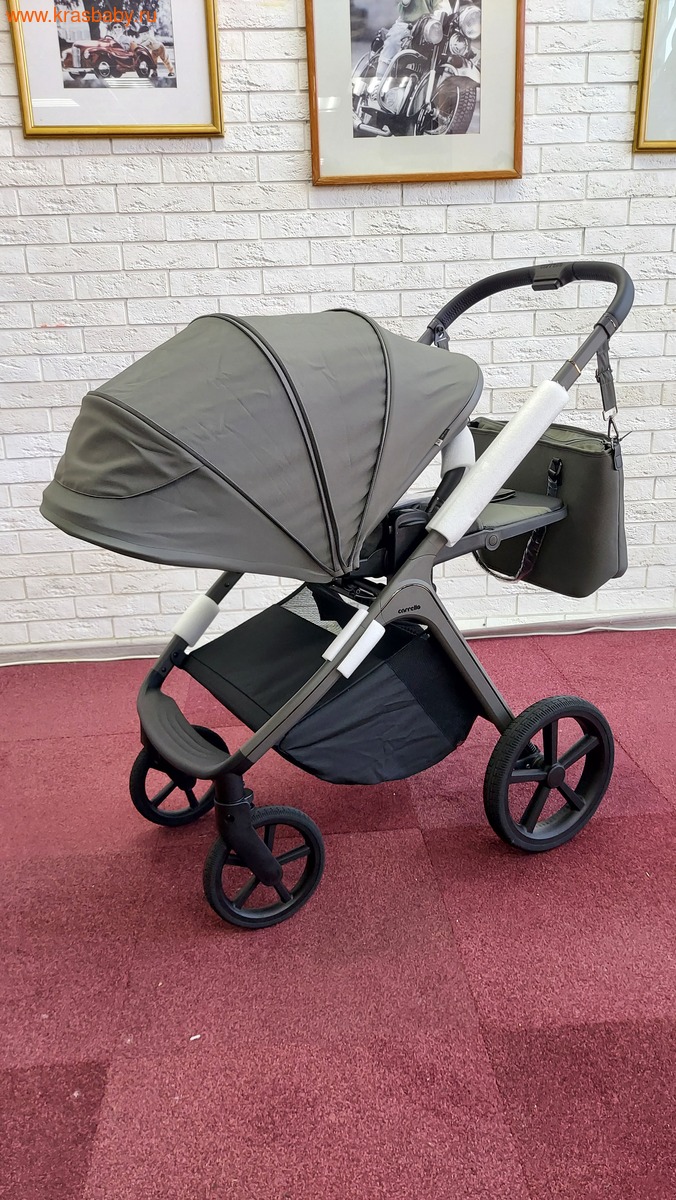 Коляска модульная CARRELLO VECTOR F ( складная люлька) (вид 24) Коляска модульная CARRELLO VECTOR F ( складная люлька) (фото, вид 24)