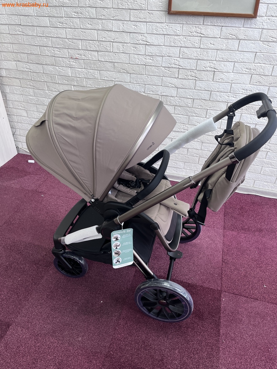 ������� ��������� AMAROBABY GENIUS 2 � 1 (����, ��� 5)