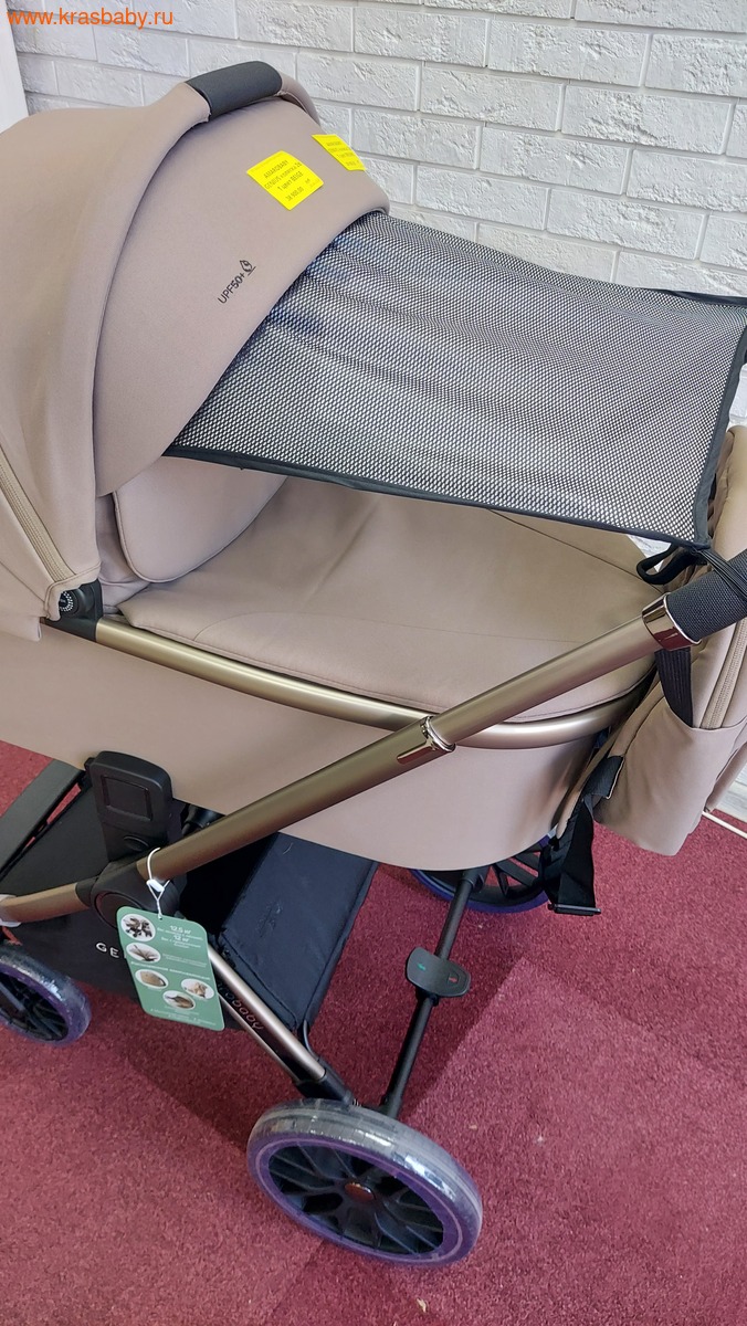 ������� ��������� AMAROBABY GENIUS 2 � 1 (����, ��� 12)
