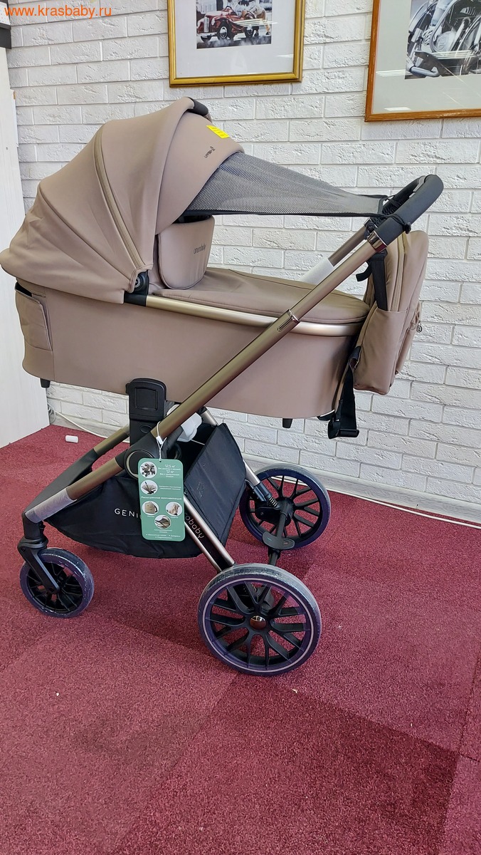 ������� ��������� AMAROBABY GENIUS 2 � 1 (����, ��� 13)