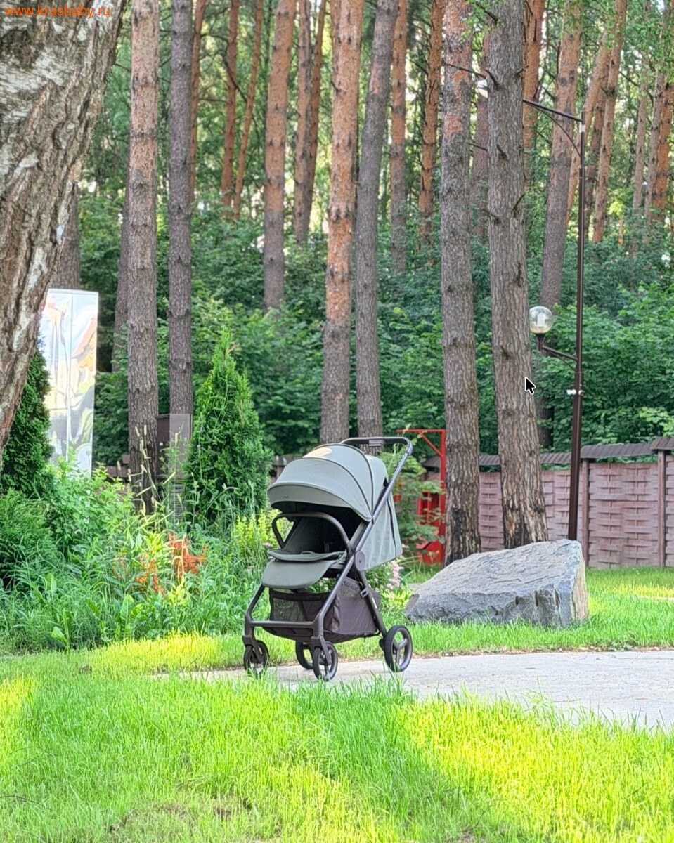 Коляска прогулочная ANEX RIDE (вид 2) Коляска прогулочная ANEX RIDE (фото, вид 2)
