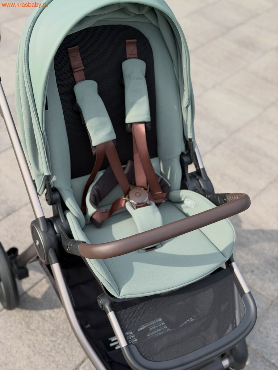 Коляска модульная ANEX IQ PREMIUM NT 2 в 1 (вид 20) Коляска модульная ANEX IQ PREMIUM NT 2 в 1 (фото, вид 20)