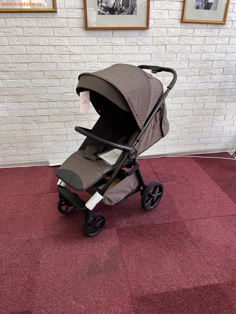 CARRELLO BRAVO CARBON 2026 - прогулочная коляска цвет (вид 1) CARRELLO BRAVO CARBON 2026 - прогулочная коляска цвет (фото, вид 1)