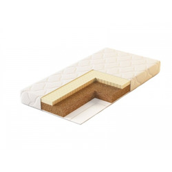   PLITEX EVOLUTION   1196010 .  2