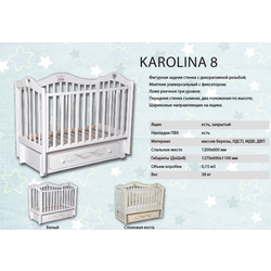   KAROLINA 8.  2