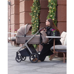   CARRELLO VECTOR 2025 2  1.  2