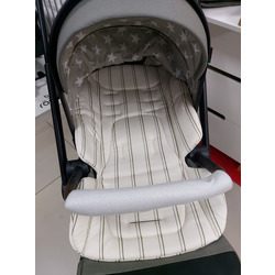      Luxmom A2.  2