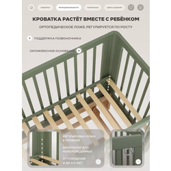 �������� � ��������� RANT AMIRA. ��� 2