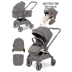 ������� ��������� SKYTEO MIST 3 � 1 ( ���������� �����). ��� 2