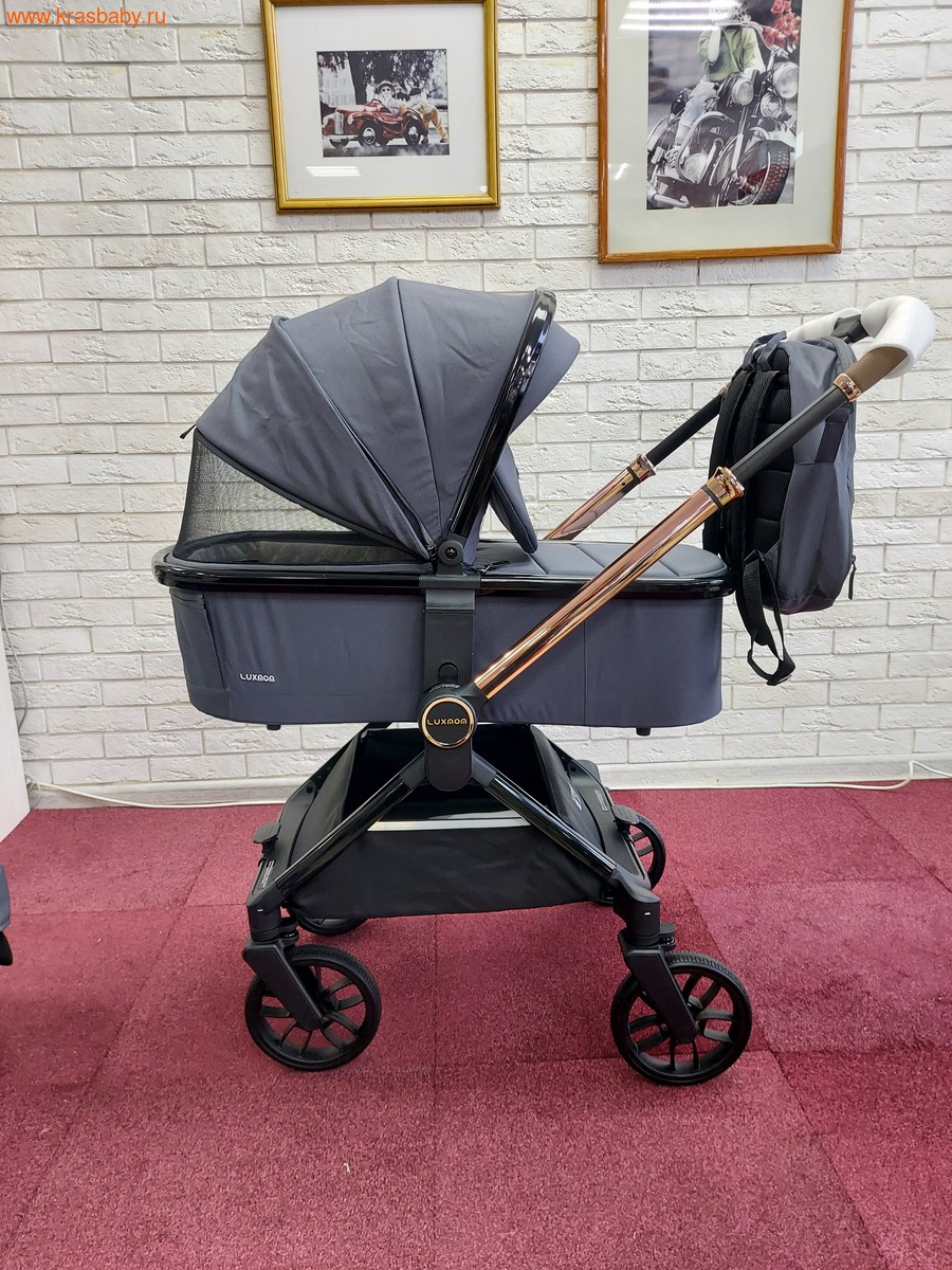 Коляска модульная B1 ( 3 в 1) Коляска модульная B1 ( 3 в 1) (фото)