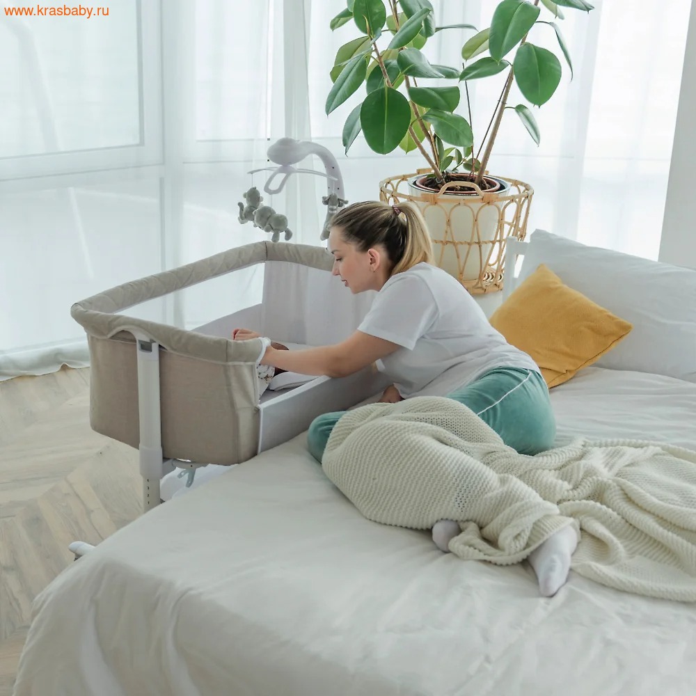 Колыбель-качели CARRELLO BLOOM Колыбель-качели CARRELLO BLOOM (фото)